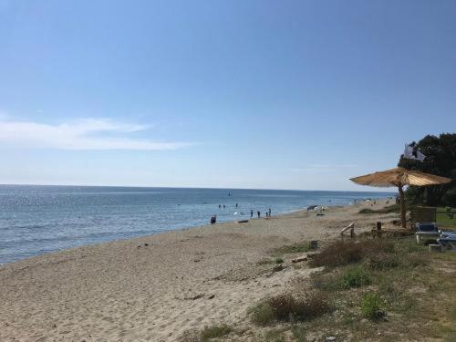A 5 Mn A Pied De La Mer, Piscine ,Tennis, Paillote Cervione Exteriör bild